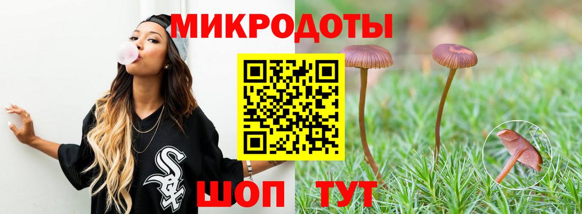 Большой Камень  Галлюциногенные грибы Psilocybine cubensis  Вход с VPN 