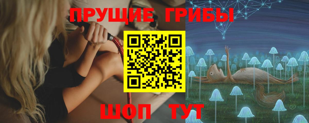 Псилоцибиновые грибы Cubensis Большой Камень